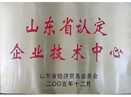 山東省認(rèn)定企業(yè)技術(shù)中心2005